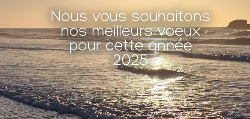 Voeux 2025-Payasage bretagne